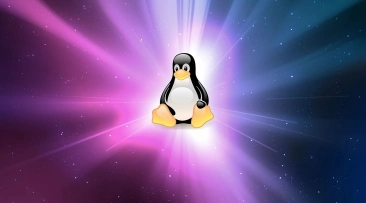 Linux Bakım ve Destek